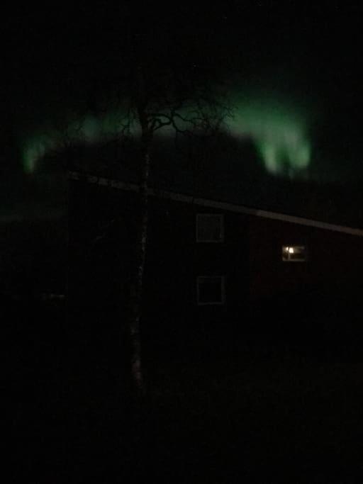 House On Of * Kiruna